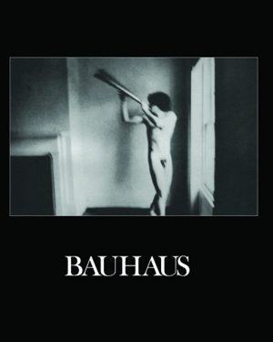 Bauhaus - In the Flat Field