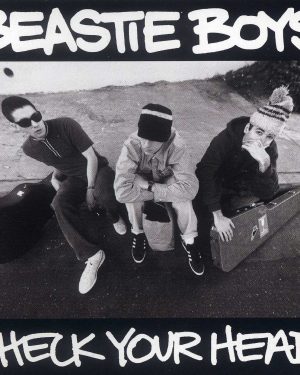 Beastie Boys - Check Your Head