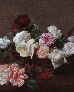 New Order - Power, Corruption & Lies