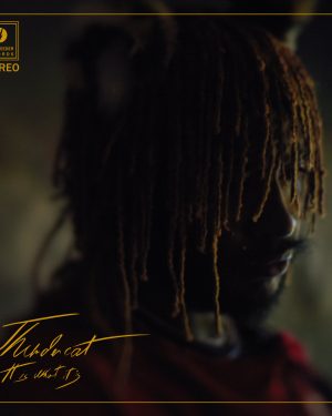 Thundercat - It Is What It Is