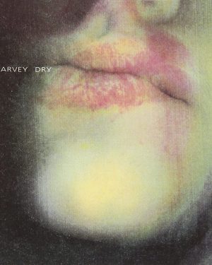 PJ Harvey - Dry