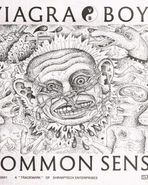 Viagra Boys - Common Sense