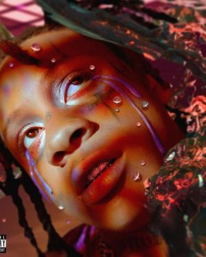 Trippie Redd - A Love Letter To You 4